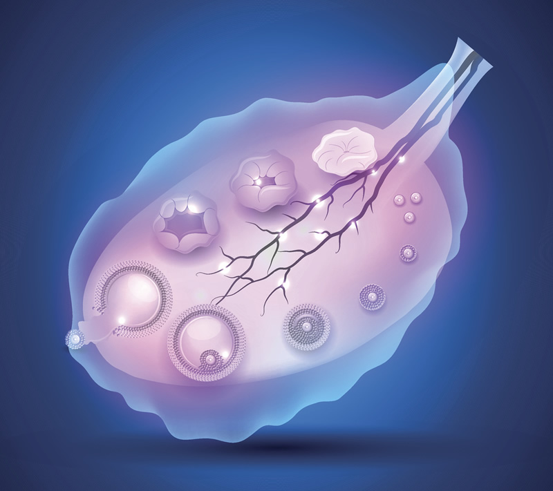 2026年福州做试管婴儿去哪家医院好？一次推荐这几家靠谱医院